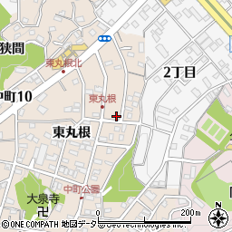 愛知県岡崎市中町東丸根184周辺の地図