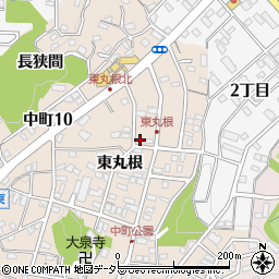 愛知県岡崎市中町東丸根242周辺の地図