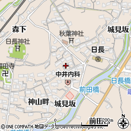愛知県知多市日長神山畔37周辺の地図