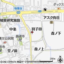 京都府向日市物集女町羽子田周辺の地図