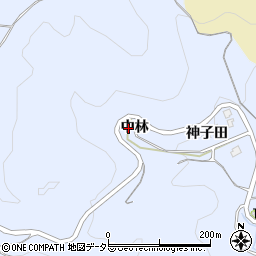 愛知県岡崎市才栗町中林周辺の地図