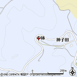 愛知県岡崎市才栗町（中林）周辺の地図