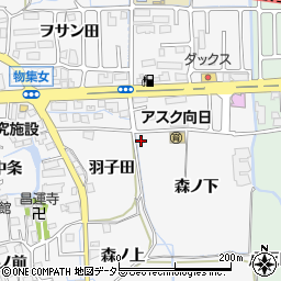 京都府向日市物集女町森ノ下周辺の地図