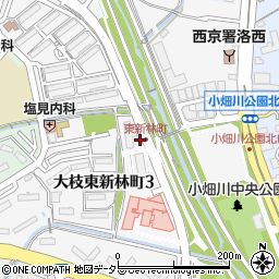 京都府京都市西京区大枝東新林町周辺の地図