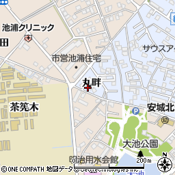 愛知県安城市新田町丸畔周辺の地図