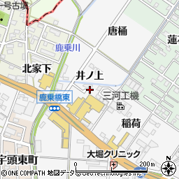 愛知県岡崎市宇頭町井ノ上周辺の地図