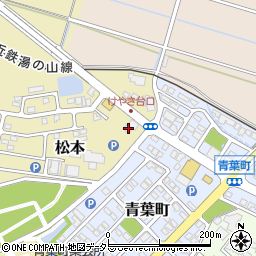 柴田自動車周辺の地図