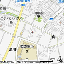 愛知県安城市篠目町溝川周辺の地図