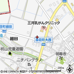 愛知県安城市篠目町肥田19周辺の地図