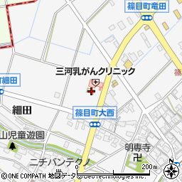 愛知県安城市篠目町肥田39周辺の地図