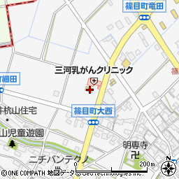 愛知県安城市篠目町肥田39周辺の地図