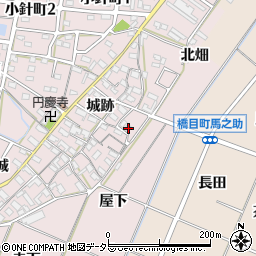 愛知県岡崎市小針町城跡101周辺の地図