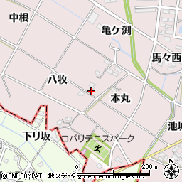 愛知県岡崎市小針町本丸周辺の地図