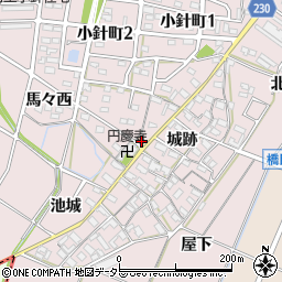 愛知県岡崎市小針町城跡80周辺の地図