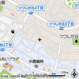 愛知県知多市つつじが丘3丁目16周辺の地図
