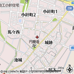 愛知県岡崎市小針町油デン31周辺の地図