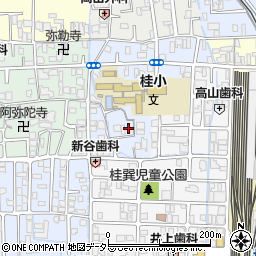 桂巽町周辺の地図