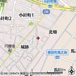 愛知県岡崎市小針町城跡141周辺の地図