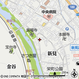 岡山県新見市新見55周辺の地図