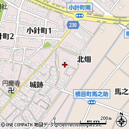愛知県岡崎市小針町城跡145周辺の地図
