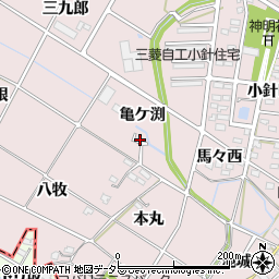 愛知県岡崎市小針町亀ケ渕周辺の地図