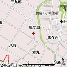 愛知県岡崎市小針町（亀ケ渕）周辺の地図