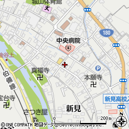 岡山県新見市新見807周辺の地図