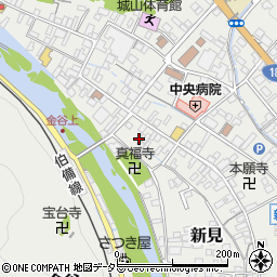 岡山県新見市新見841周辺の地図
