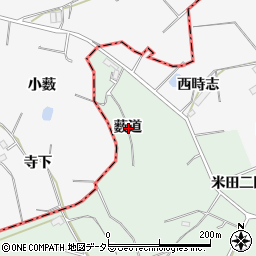 愛知県知多郡東浦町緒川薮道周辺の地図