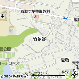 愛知県東海市加木屋町竹ケ谷周辺の地図