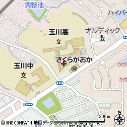 滋賀県立玉川高等学校周辺の地図