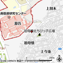 愛知県知多郡東浦町森岡祖母懐20周辺の地図