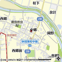 愛知県豊田市桝塚東町中郷周辺の地図