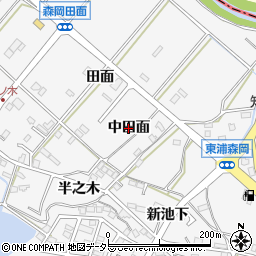 愛知県東浦町（知多郡）森岡（中田面）周辺の地図