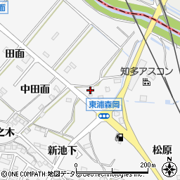 愛知県知多郡東浦町森岡柳ケ坪12周辺の地図