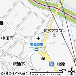 愛知県知多郡東浦町森岡柳ケ坪6周辺の地図