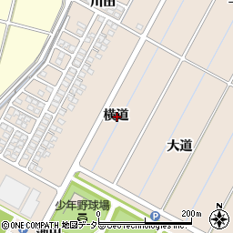 愛知県豊田市畝部東町横道周辺の地図