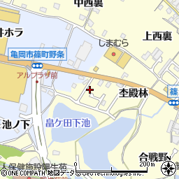 京都府亀岡市篠町篠杢殿林20周辺の地図