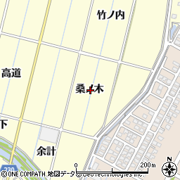 愛知県豊田市桝塚東町桑ノ木周辺の地図