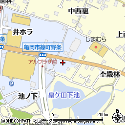 京都府亀岡市篠町野条上又18周辺の地図