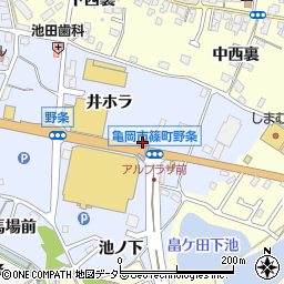 京都府亀岡市篠町野条井ホラ16周辺の地図