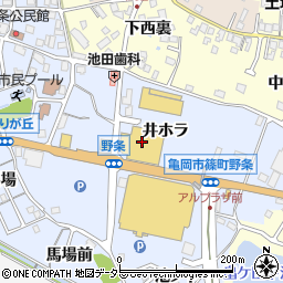 京都府亀岡市篠町野条井ホラ9周辺の地図