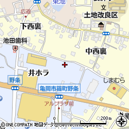 京都府亀岡市篠町野条井ホラ21周辺の地図