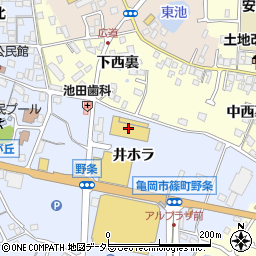 京都府亀岡市篠町野条井ホラ32周辺の地図