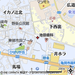 京都府亀岡市篠町野条井ホラ1周辺の地図