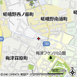 京都府京都市右京区嵯峨野西ノ藤町26-1周辺の地図