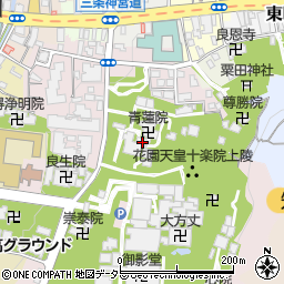 青蓮院周辺の地図