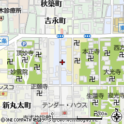 京都府京都市左京区新東洞院町266-3周辺の地図