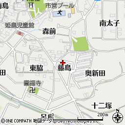 愛知県東海市富木島町藤島周辺の地図