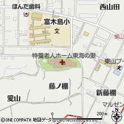 愛知県東海市富木島町（藤ノ棚）周辺の地図